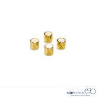 Whiteboard Glasmagnete Zylinder 10mm Gold 4st.