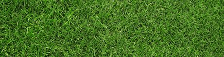 Gras Gras